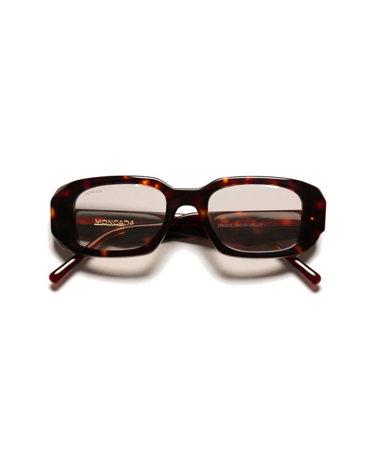 LOREN | TORTOISE