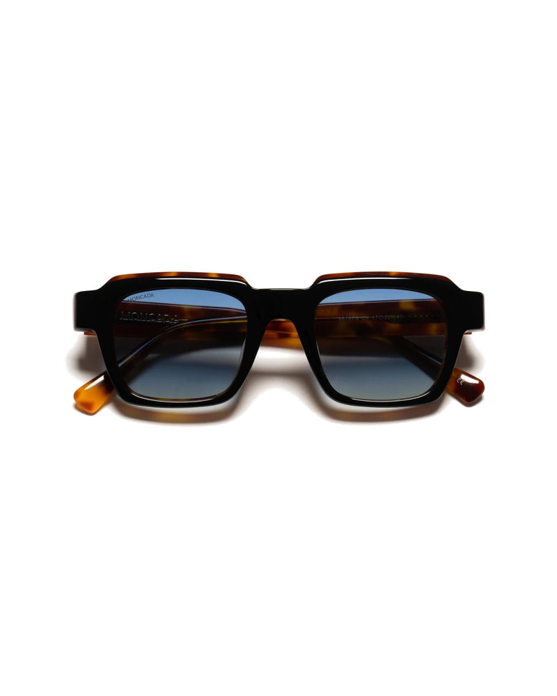 MARCELLO | BLACK HAVANA