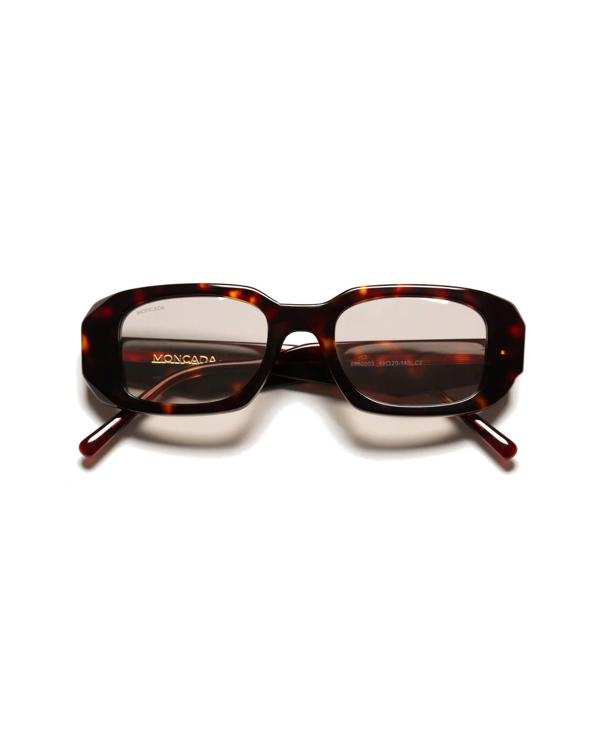 LOREN | TORTOISE