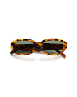 PALOMA | TORTOISE