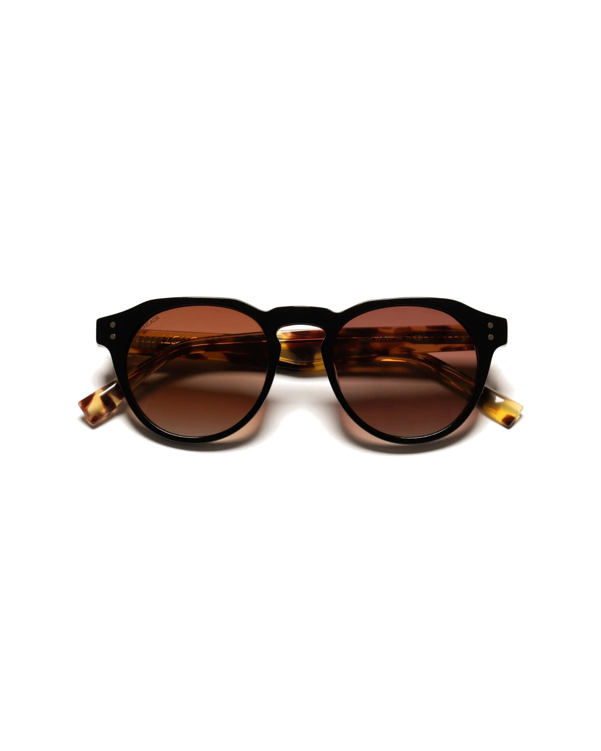 PANAREA | BLACK HAVANA