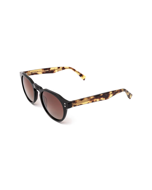 PANAREA | BLACK HAVANA