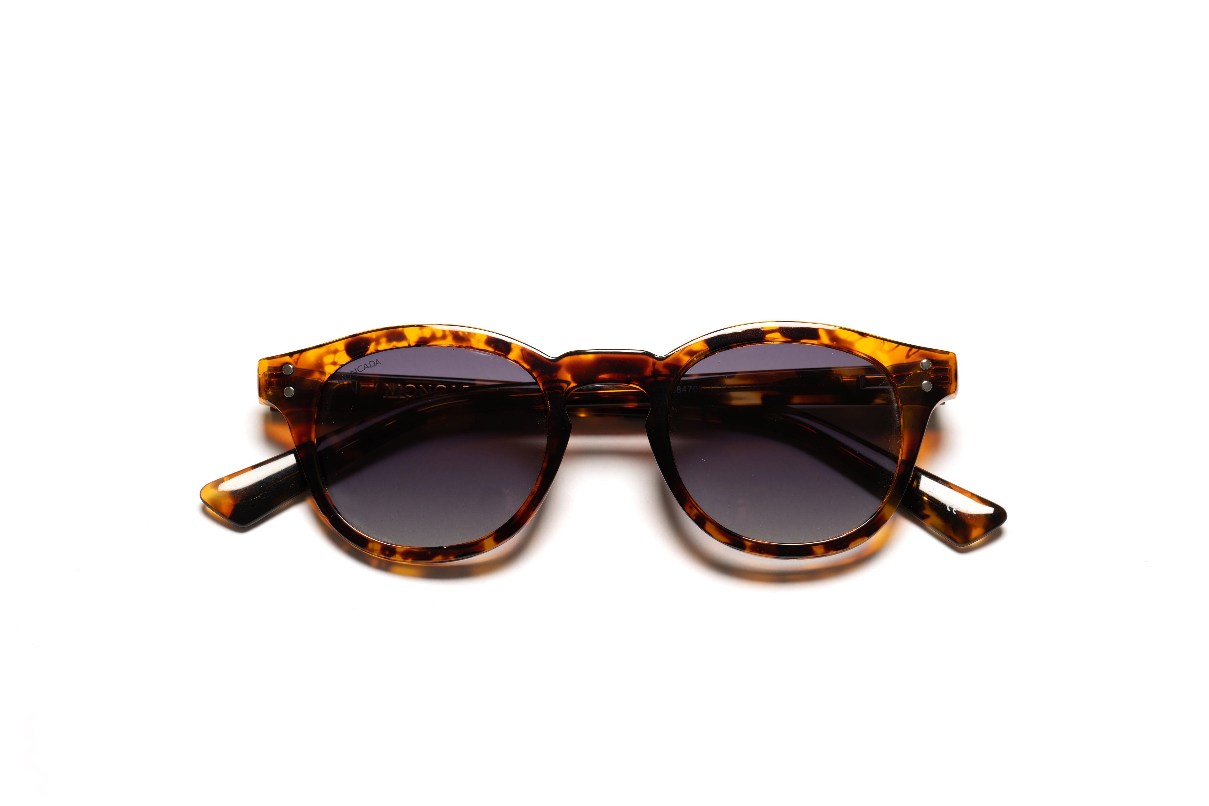 PASOLINI TORTOISE moncadaeyewear