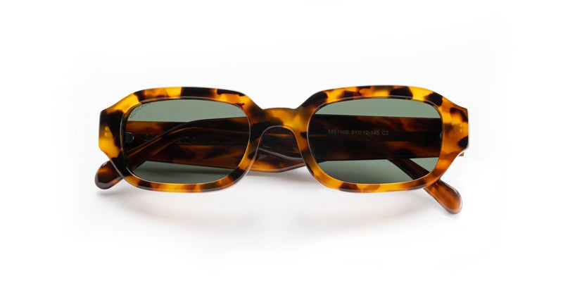 PALOMA | TORTOISE